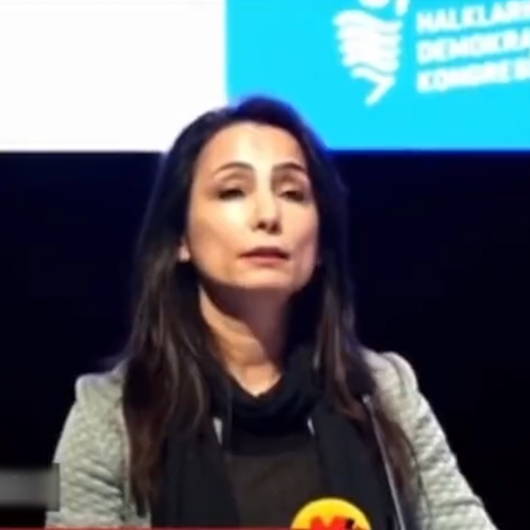HDP'li Hatimoğulları'ndan skandal sözler: Türkiye'ye 'soykırımcı' diyerek terörist başı Öcalan'a özgürlük istedi
