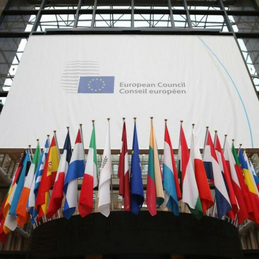 Avrupa Konseyi Danimarka'yı provokasyona izin vermekle suçladı