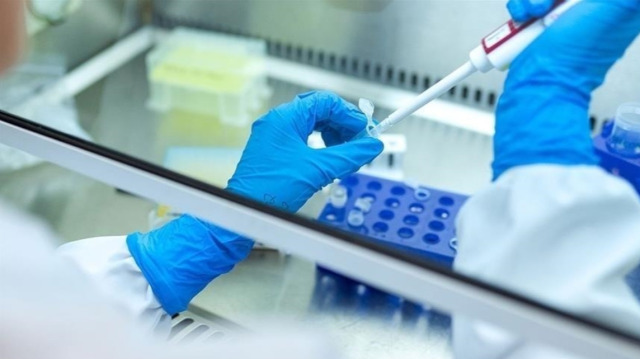 Egypt becomes 1st country to achieve WHO validation on path to elimination of hepatitis C