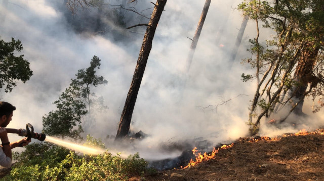 Ekiplerin hızlı müdahalesiyle kontrol altına alınan yangında yaklaşık yarım hektar ormanlık alan zarar gördü.