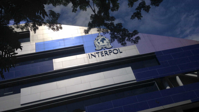 Interpol (Arşiv)