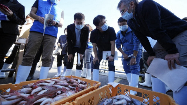 Des inspecteurs de l'AIEA sur le port d'Hisanohama, dans la préfecture de Fukushima, le 19 octobre 2023. Crédit photo: Eugene Hoshiko / POOL / AFP