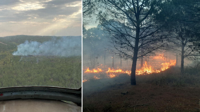 Yangında 2,8 hektar alan zarar görürken, soğutma çalışmalarının sürdüğü bildirildi.