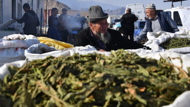 Des Kirghizes échangent des feuilles de tabac séchées. Crédit photo: VYACHESLAV OSELEDKO / AFP