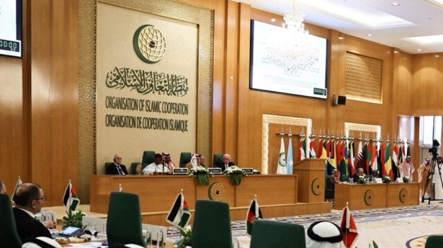 Organization of Islamic Cooperation calls for immediate cease-fire in
