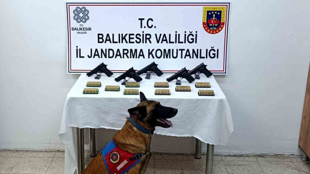 Bomba köpeği ’Vaha’ kaçak silahları buldu