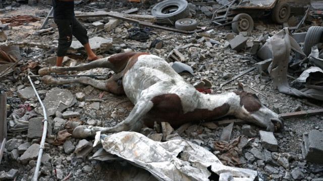 Un Palestinien près d'un cheval tué par les bombardements israéliens, à Nuseirat, dans le centre de la Bande de Gaza, le 30 octobre 2023. Crédit photo: MOHAMMED ABED / AFP
