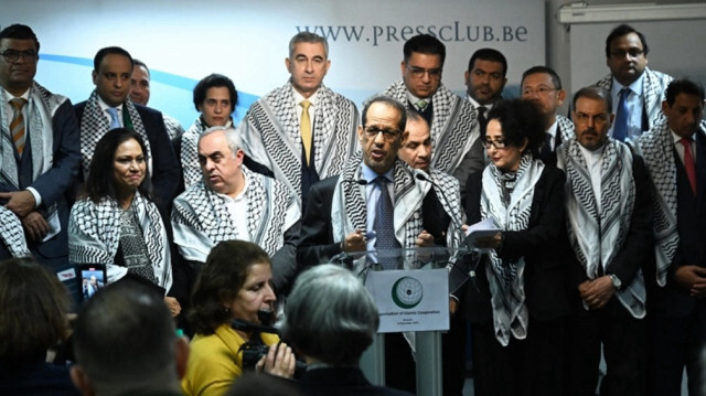 Organization of Islamic Cooperation urges international push for cease