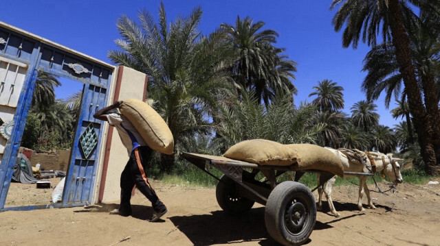 Crédit photo: ASHRAF SHAZLY / AFP