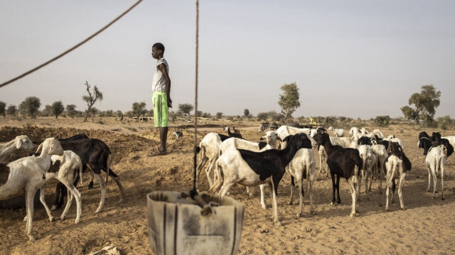 Crédit photo: JOHN WESSELS / AFP