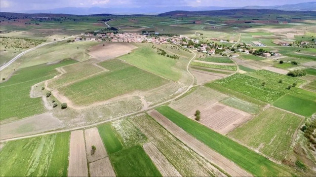 Foto/arşiv