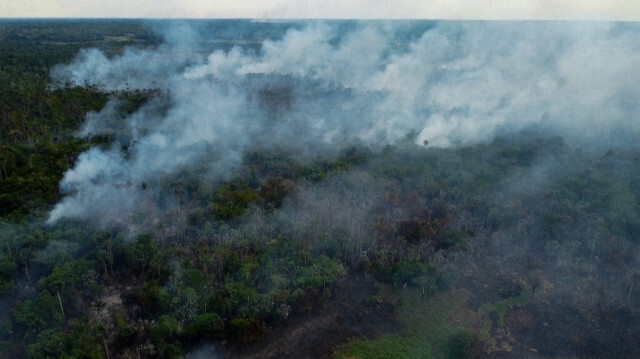 Vue sur la forêt amazonienne, à Iranduba, dans le nord du Brésil. Crédit photo: Michael Dantas / AFP