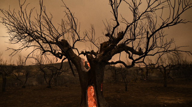 Crédit Photo: Sakis MITROLIDIS / AFP

