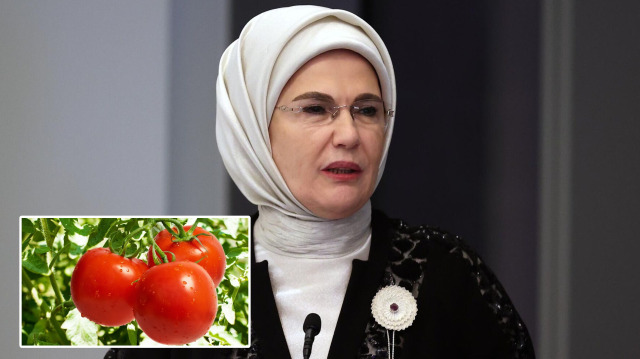 Emine Erdoğan