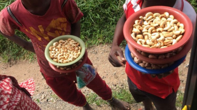 La Côte d'Ivoire est un acteur majeur de la filière anacarde avec 25% de la production mondiale de noix de cajou.