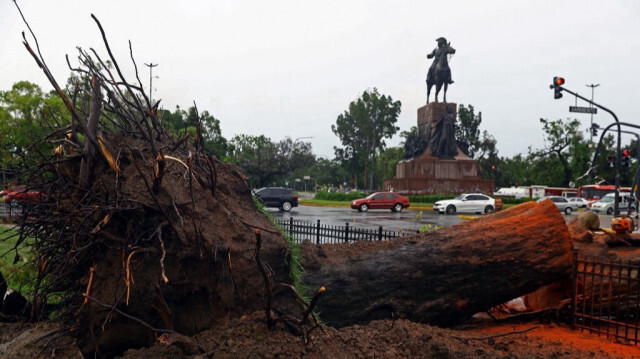 Un arbre arraché par la tempête qui a frappé Buenos Aires, le 17 décembre 2023.