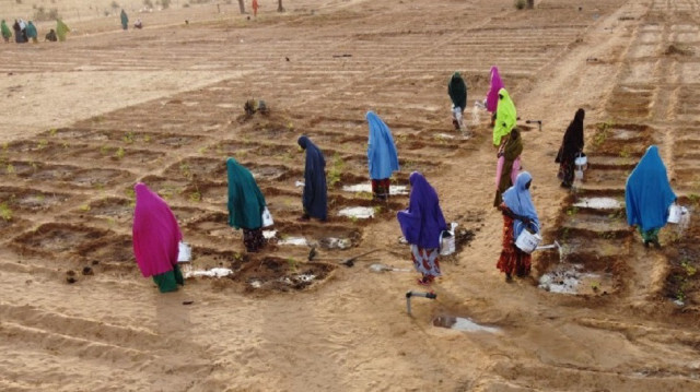 L'Agence turque de coopération et de coordination (TİKA) a installé un jardin de production de légumes et de moringa au Niger en Afrique.