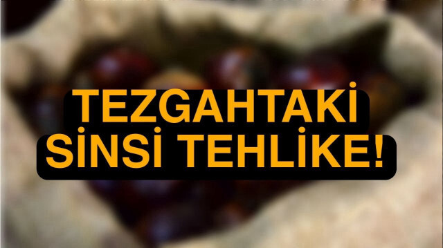 Çin kestanesi ile normal kestane arasındaki farklar
