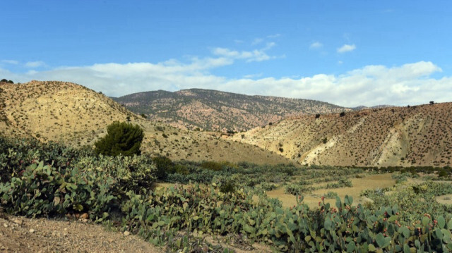 Les montagnes du mont Mghilla situées entre Kasserine (à environ 360 kilomètres au sud de Tunis) et la ville tunisienne centrale de Sidi Bouzid.