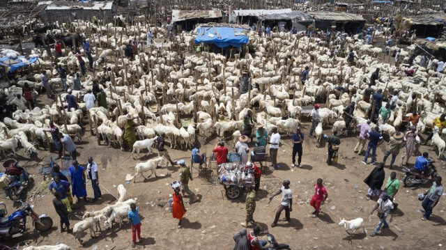 Un marché de bétail à Bamako, au Mali.