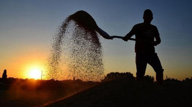 Foto/arşiv