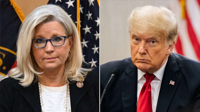 Liz Cheney - Donald Trump