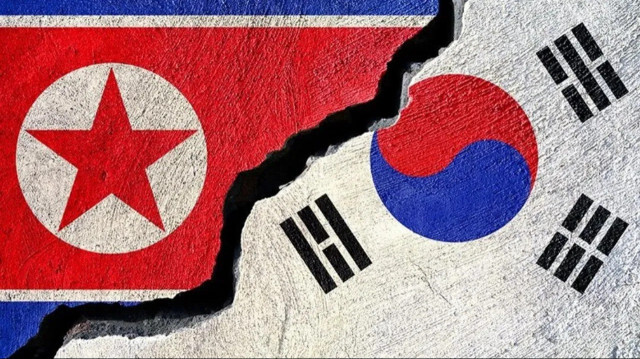 Güney Kore'den Kuzey Kore'ye 'düşman' tanımlaması