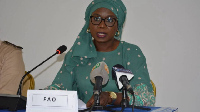 Mme Fatou Sock conseillere technique principale de lIPC pour la FAO. Crédit Photo: APANEWS