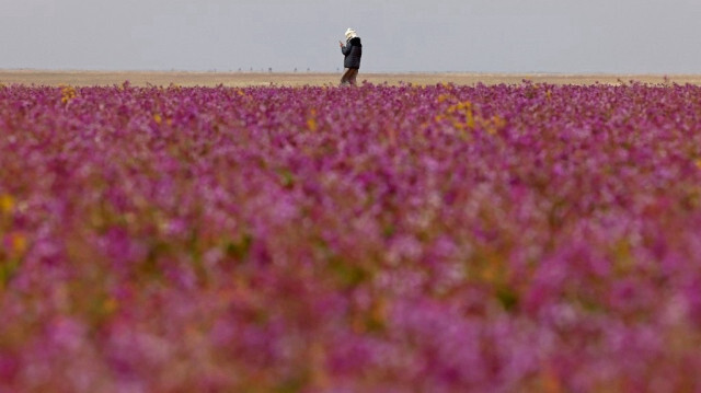 Crédit photo: FAYEZ NURELDINE / AFP