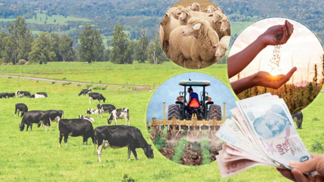 Tarım ve Orman Bakanlığı çiftçi destek ödemeleri