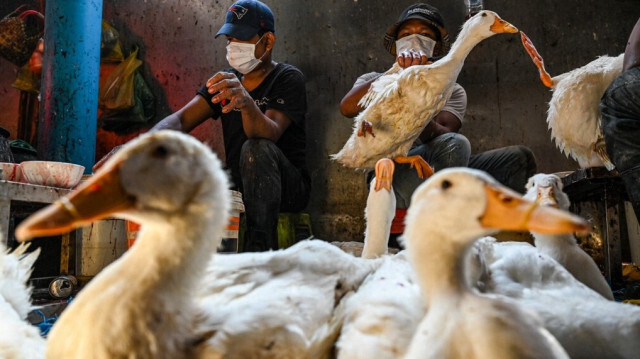 Crédit photo: TANG CHHIN Sothy / AFP