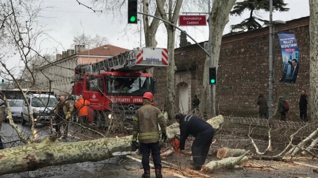Dolmabahçe Caddesinde rüzgar sebebiyle çınar ağacı devrildi.