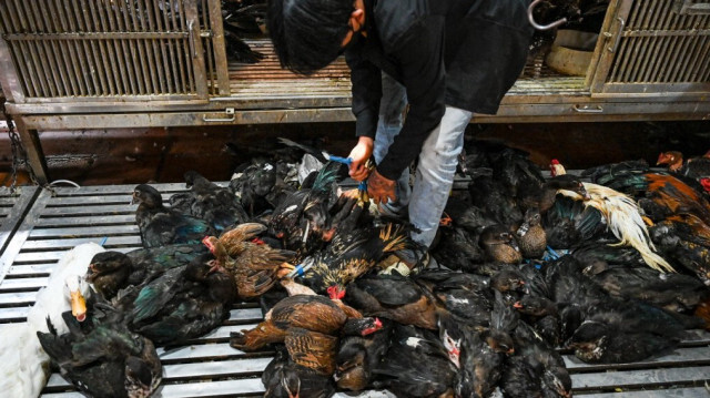 Crédit photo: TANG CHHIN Sothy / AFP