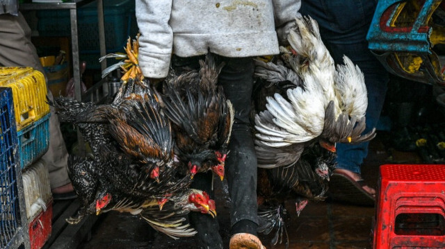 Crédit photo: TANG CHHIN SOTHY / AFP