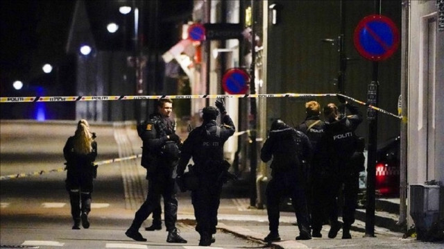 Police norvégienne. Crédit Photo: AA