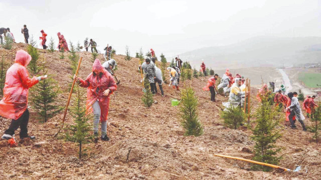 Deprem Şehitleri Ormanı.