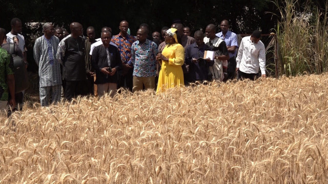 Le ministre en charge de l’Agriculture, Dr Dénis Ouédraogo et des membre de l'institut recherche agricole. Crédit Photo: APANEWS