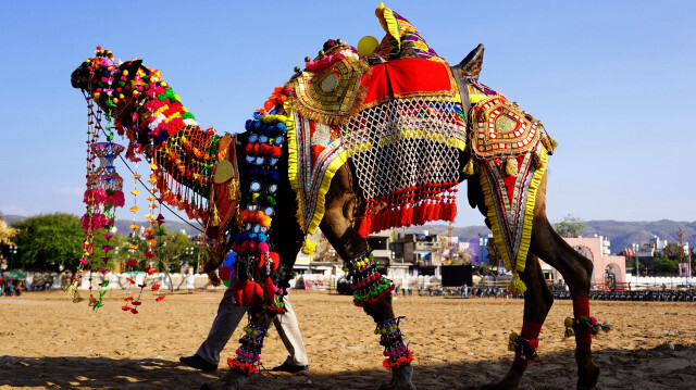 <p>Crédit photo: AGENCE ANADOLU</p>