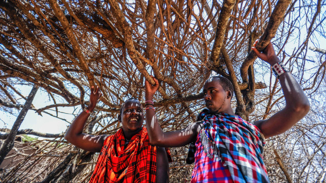 <p>Crédit photo: AGENCE ANADOLU</p>