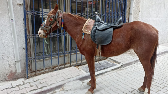 Alkollü olarak atıyla caddede dolaştı.