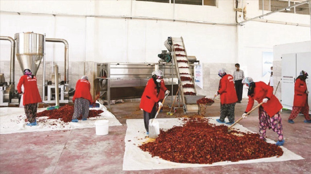 Pul biber fabrikalarında düşük kapasitede üretim yapılıyor.