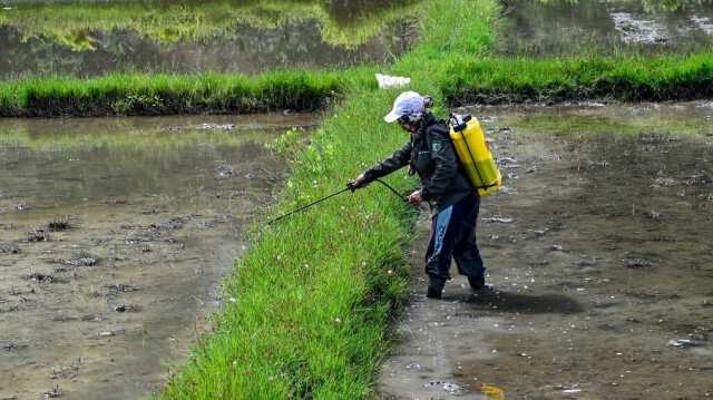 Crédit Photo: CHAIDEER MAHYUDDIN / AFP