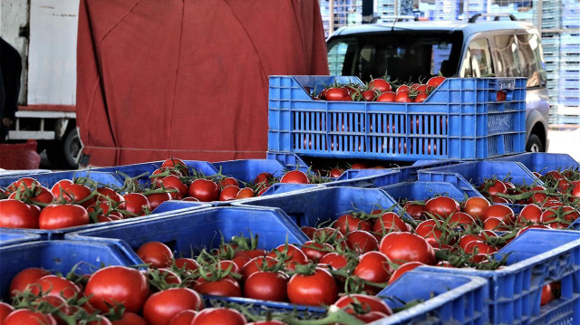 Ticaret Bakanlığı, "domateslerin çöpe dökülmesine" para cezası için işlem başlattı.