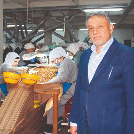 Fındıkta yüksek rekolte beklentisi