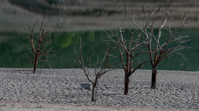 Crédit Photo: Josep LAGO / AFP