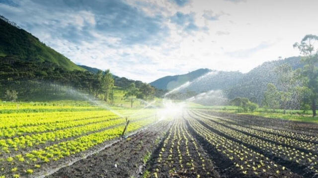 Çiftçilerin tarımsal amaçlı su kullanım hizmet bedelleri yüzde 50 desteklenecek