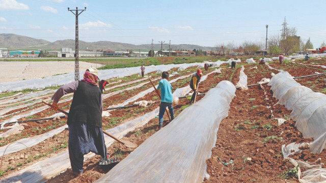 Kahramanmaraş’taki çiftçiler için Ramazan.