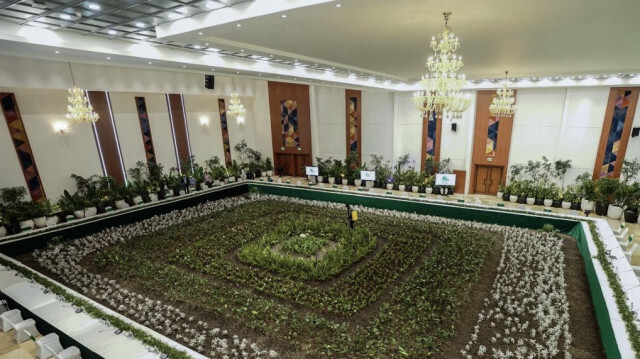 Une salle du bureau du Premier ministre temporairement transformée en jardin vert à Addis-Abeba, en Éthiopie. Crédit Photo: Amanuel Sileshi / AFP