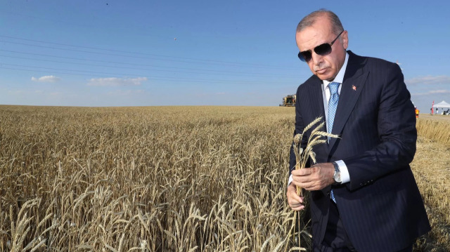 Cumhurbaşkanı Erdoğan'ın arabuluculuğunda dünya bir gıda krizinden kurtuldu