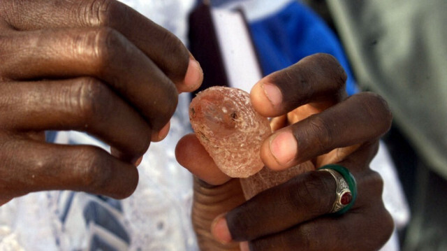 Un cueilleur de gomme arabique à Lemreiveig en Mauritanie. Crédit photo: GEORGES GOBET / AFP